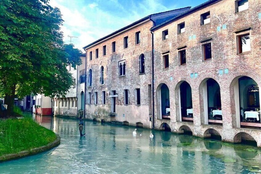 Tour in Treviso with Walking Cooking and Tasting