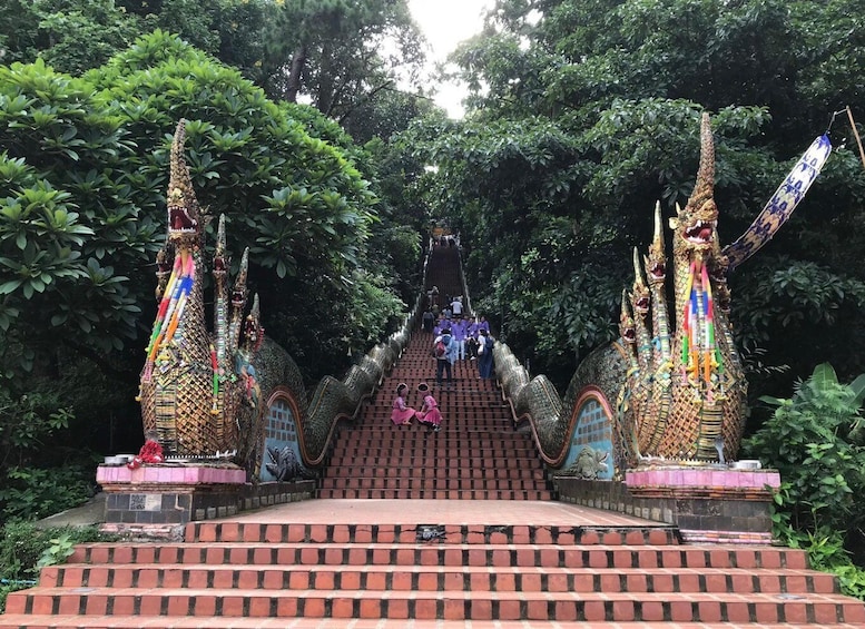 Picture 4 for Activity Chiang Mai: Doi Suthep & Inthanon National Park Day Tour