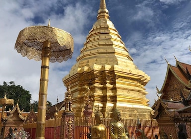 Chiang Mai: Dagstur till nationalparken Doi Suthep & Inthanon
