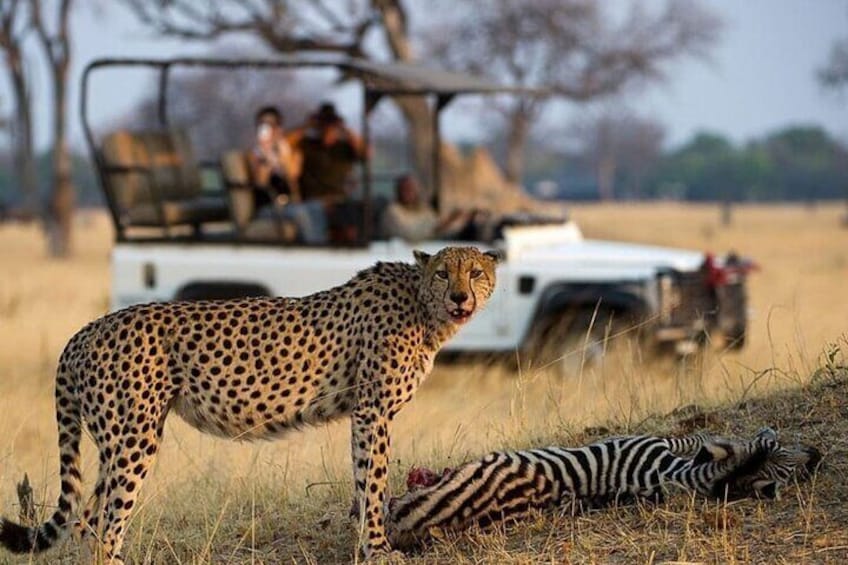 Full Day Hluhluwe Imfolozi Big 5 Game Reserve Tour from Durban