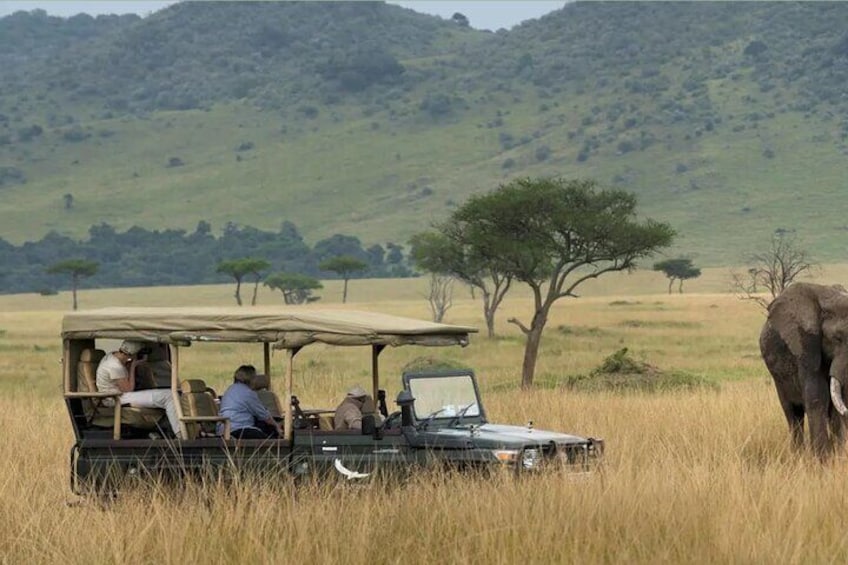 Half Day Hluhluwe Imfolozi Game Reserve from Richards Bay