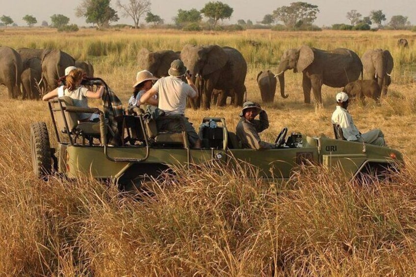 Half Day Hluhluwe Imfolozi Game Reserve from Richards Bay