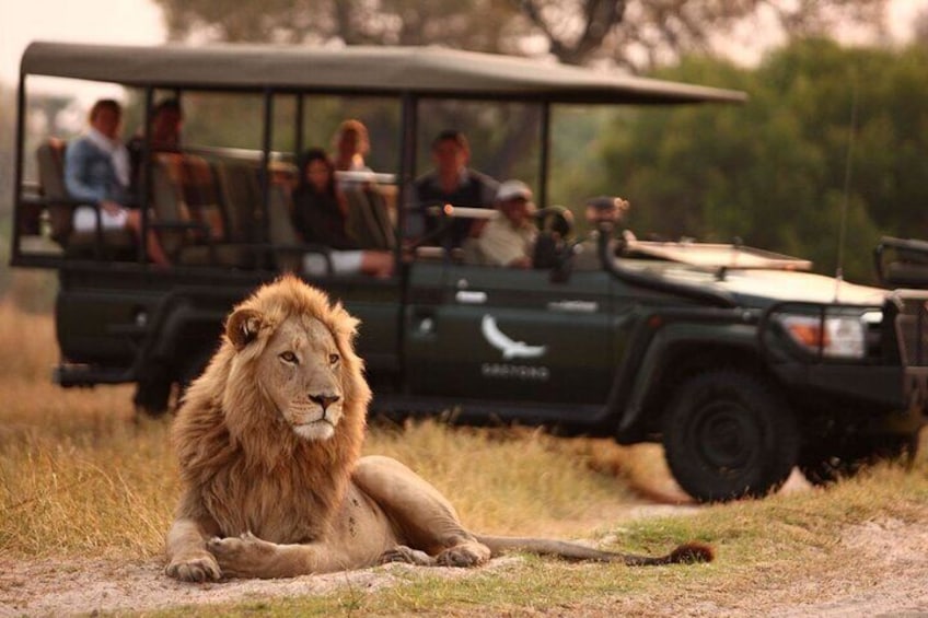 Hluhluwe Imfolozi Big 5 Game Safari Full Day Tour from Durban