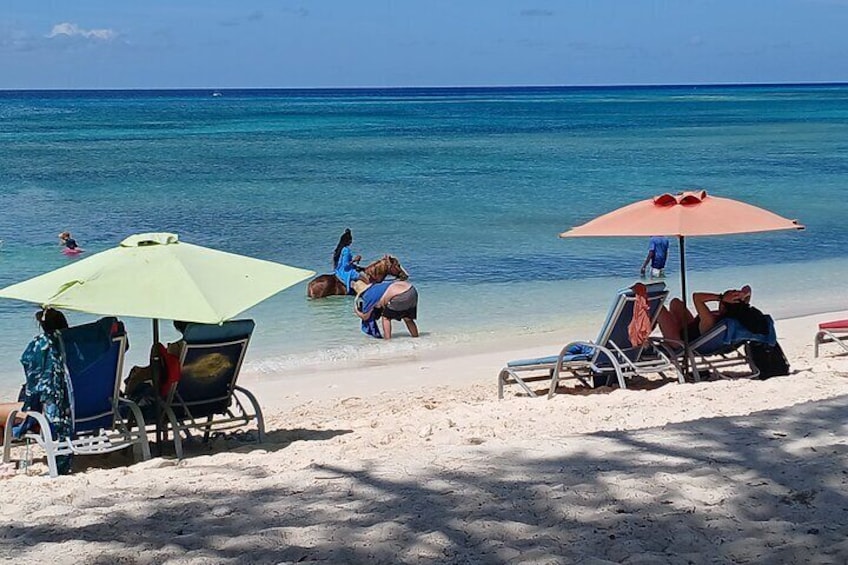 HorseBack Riding at Private beach/Grand Turk