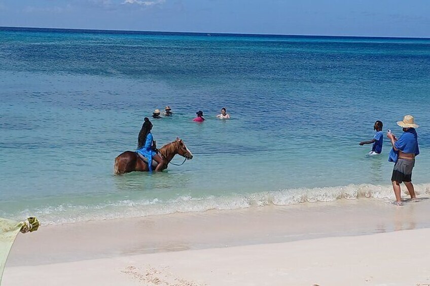 HorseBack Riding at Private beach/Grand Turk