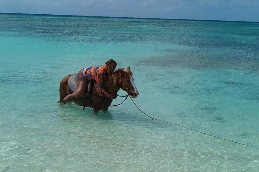 HorseBack Riding at Private beach/Grand Turk