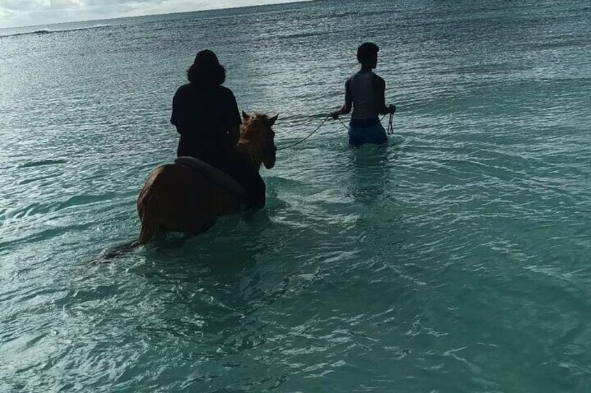 HorseBack Riding at Private beach/Grand Turk