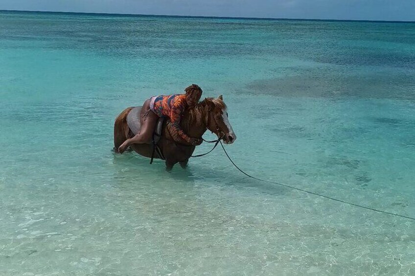 HorseBack Riding at Private beach/Grand Turk