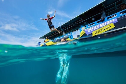 Cairns Half Day Tour a Great Barrier Reef Snorkelling Experience