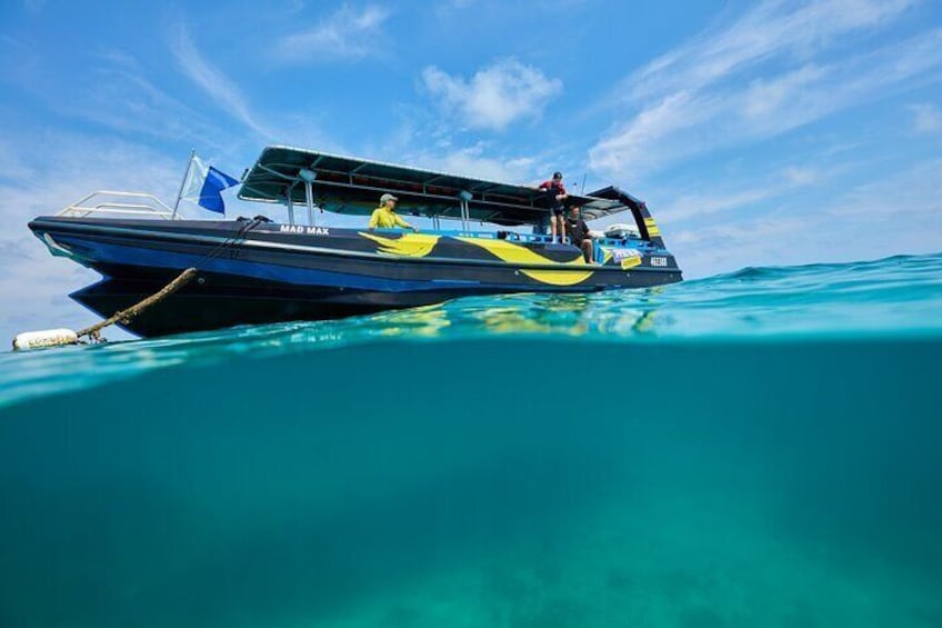 Cairns Half Day Tour a Great Barrier Reef Snorkeling Experience