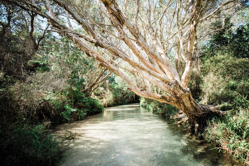 K'gari Four-Day Experience Tour + ILLUMINA light show departing Hervey Bay