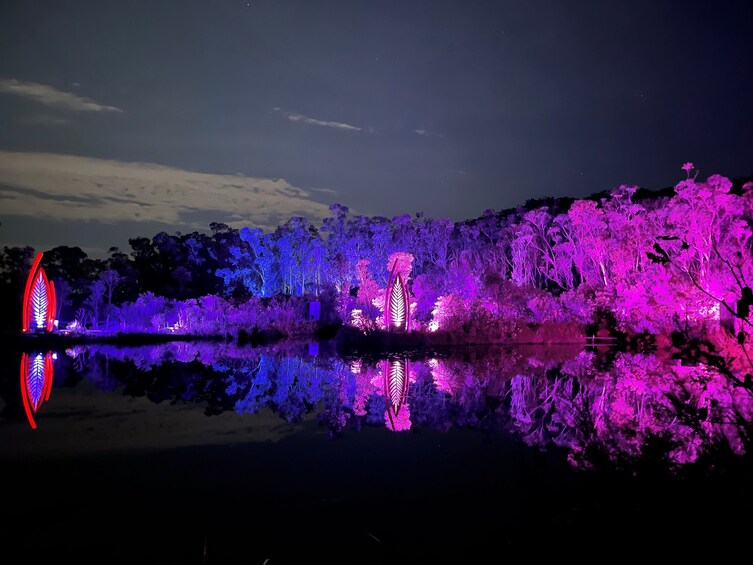 K'gari Four-Day Experience Tour + ILLUMINA light show departing Hervey Bay