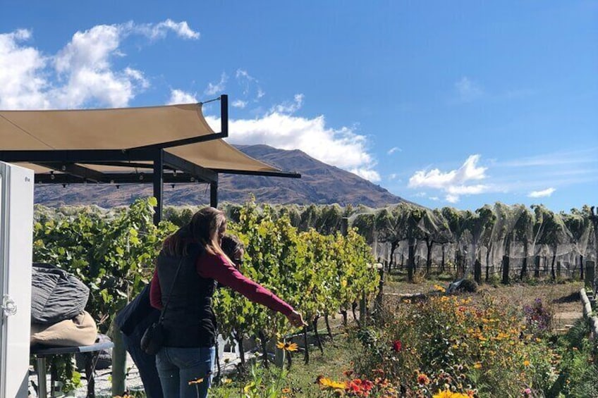 Wanaka Brewery Private E-Bike Tour