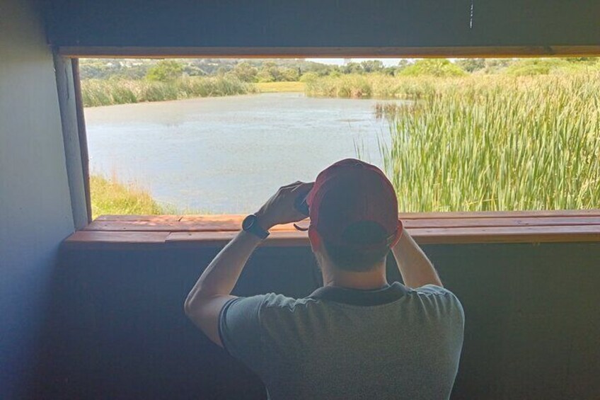 Private Kragga Kamma Park Safari Guided Tour in Port Elizabeth