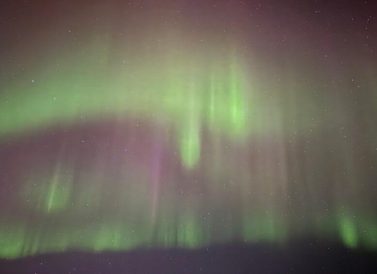 Picture 3 for Activity From Akureyri: Northern Lights Hunting Tour with Transfer