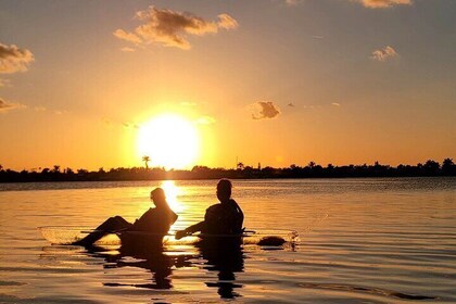 Clear Kayak Sunset Tour - Cocoa Beach