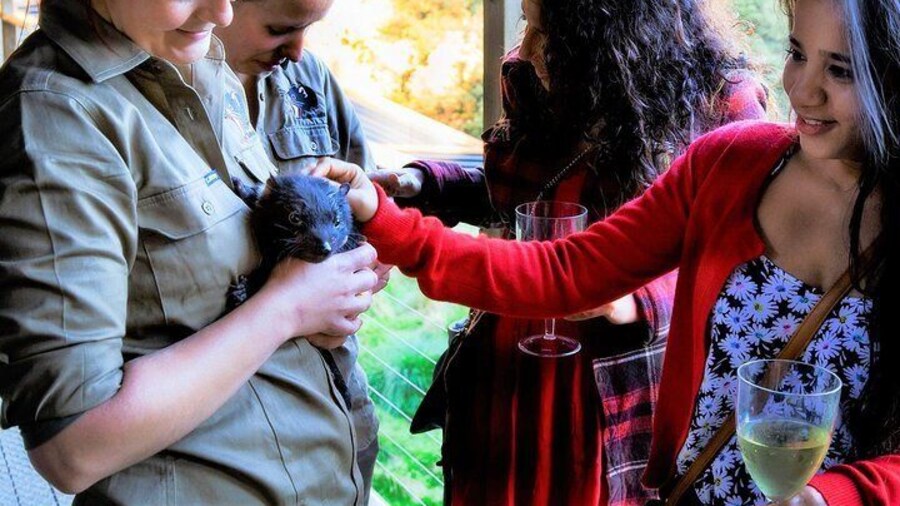 Petting baby devils