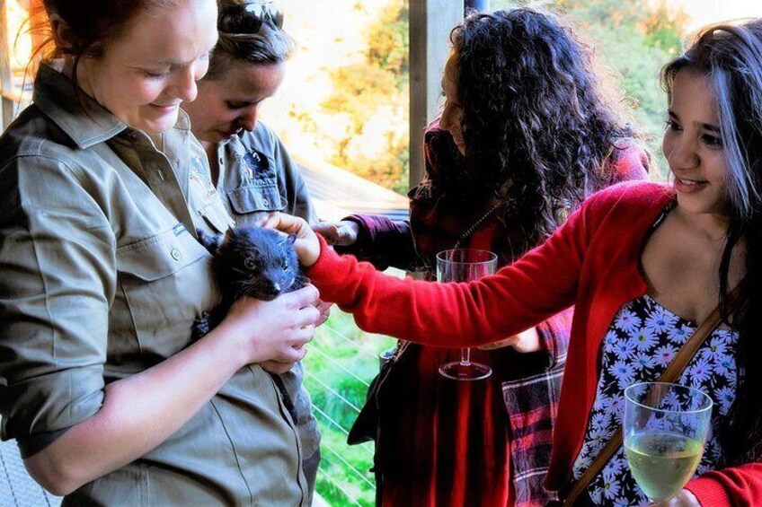 Petting baby devils