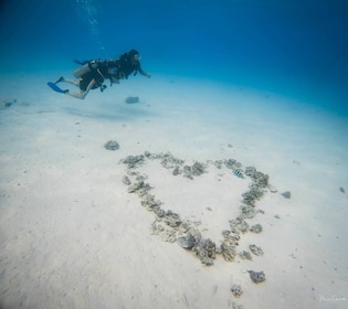 Bora Bora: Romantic Dive for Two in The Pearl of the Pacific