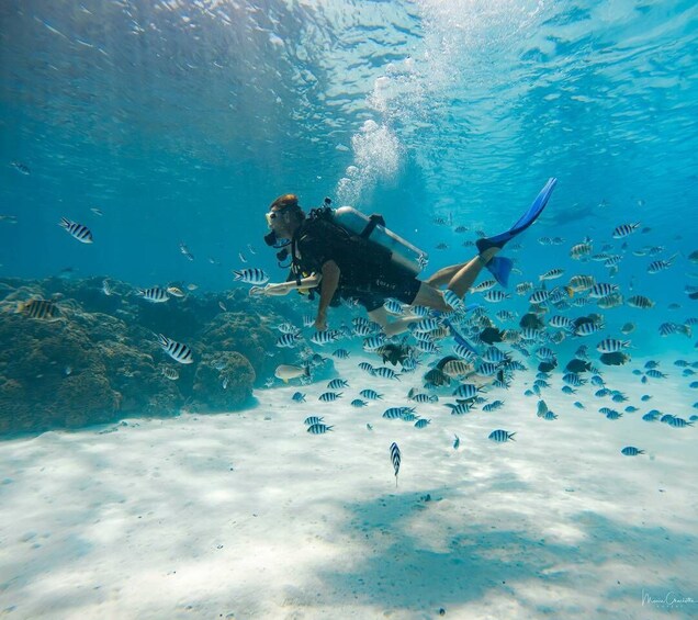 Bora Bora: Romantic Dive for Two in The Pearl of the Pacific