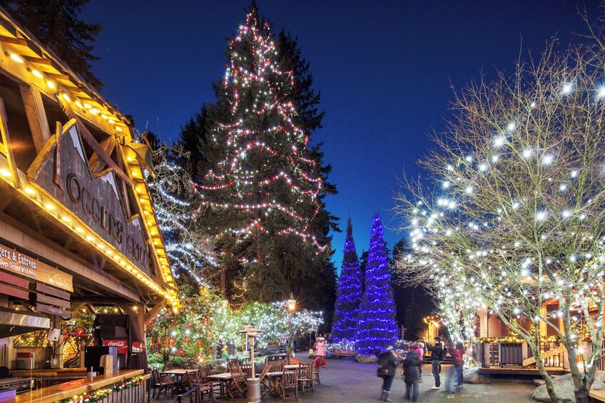 Vancouver's Festive Capilano Canyon Lights & Vancouver Tour