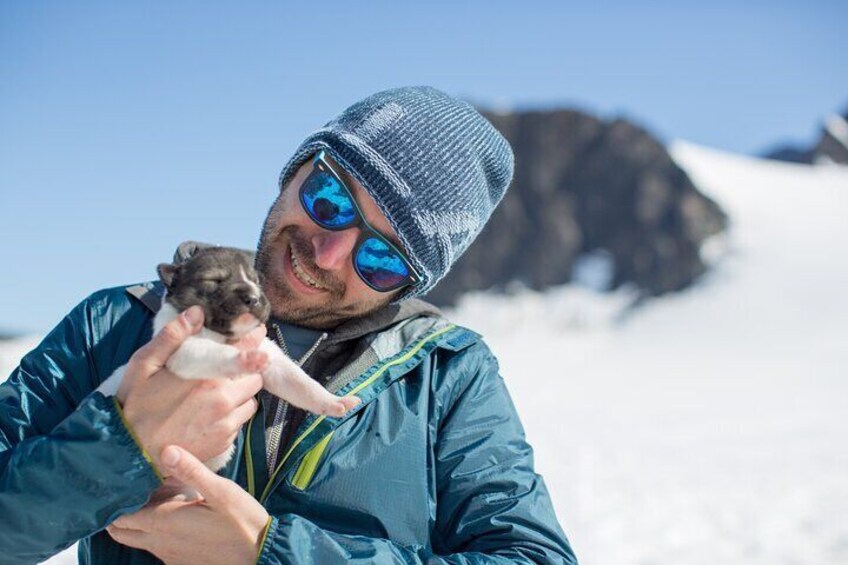 Alaska Helicopter and Glacier Dogsled Tour - SEWARD AREA