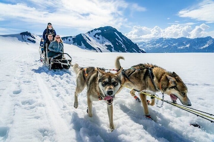 Alaska Helicopter and Glacier Dogsled Tour - SEWARD AREA