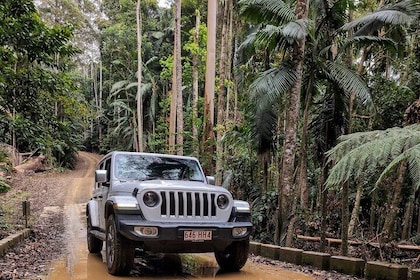 Hinterland, 4x4 National Park Adventure - Waterfalls and Nature!