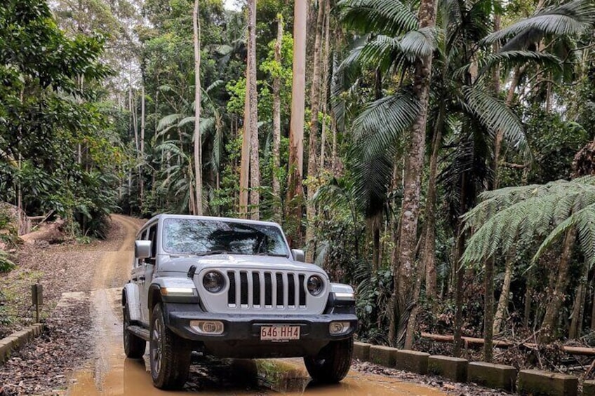 Conondale National Park