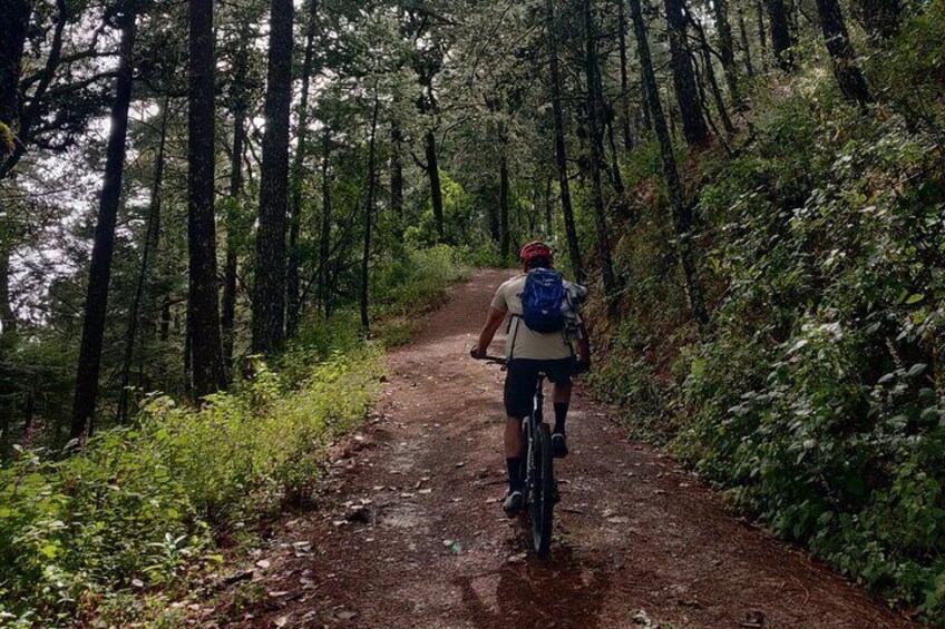 MTB experience in the Sierra Norte of Oaxaca