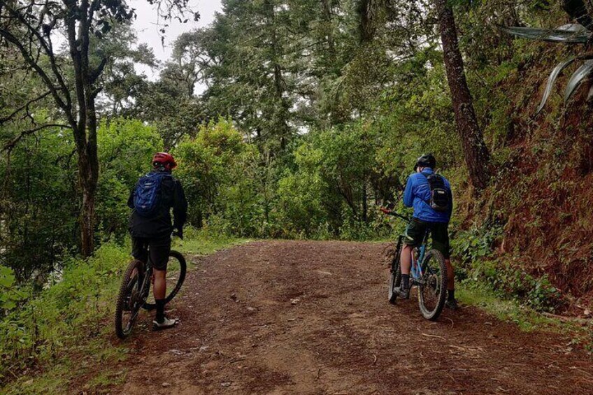 MTB experience in the Sierra Norte of Oaxaca