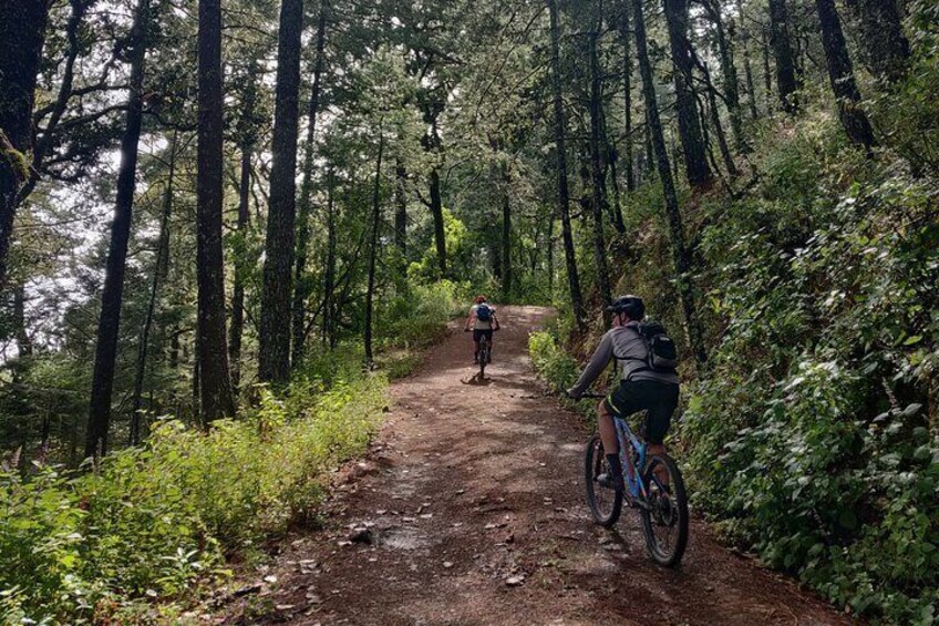 MTB experience in the Sierra Norte of Oaxaca