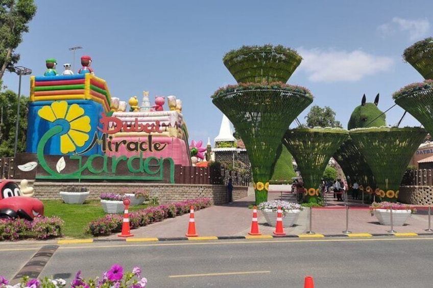 Miracle Garden and Butterfly Garden Dubai Combo Tour