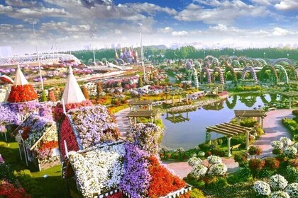 Miracle Garden and Butterfly Garden Dubai Combo Tour