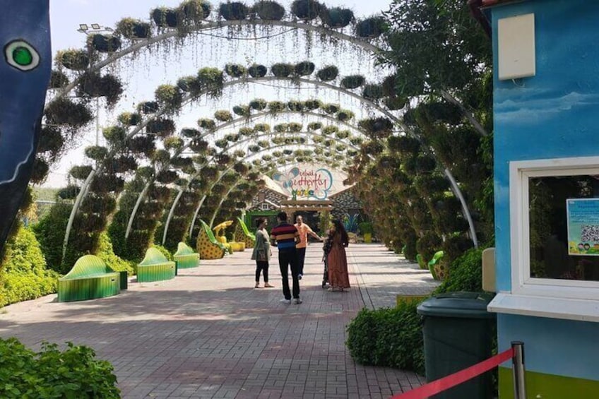 Miracle Garden and Butterfly Garden Dubai Combo Tour