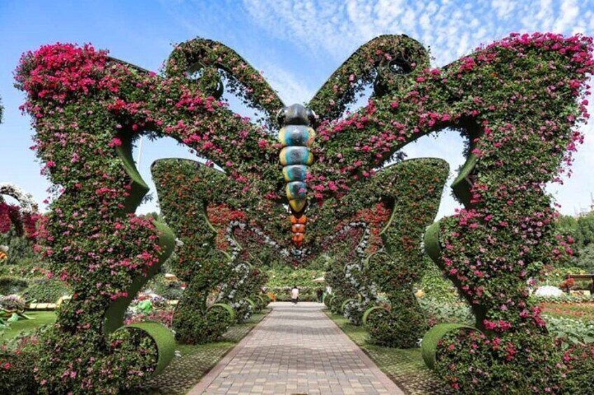 Miracle Garden and Butterfly Garden Dubai Combo Tour