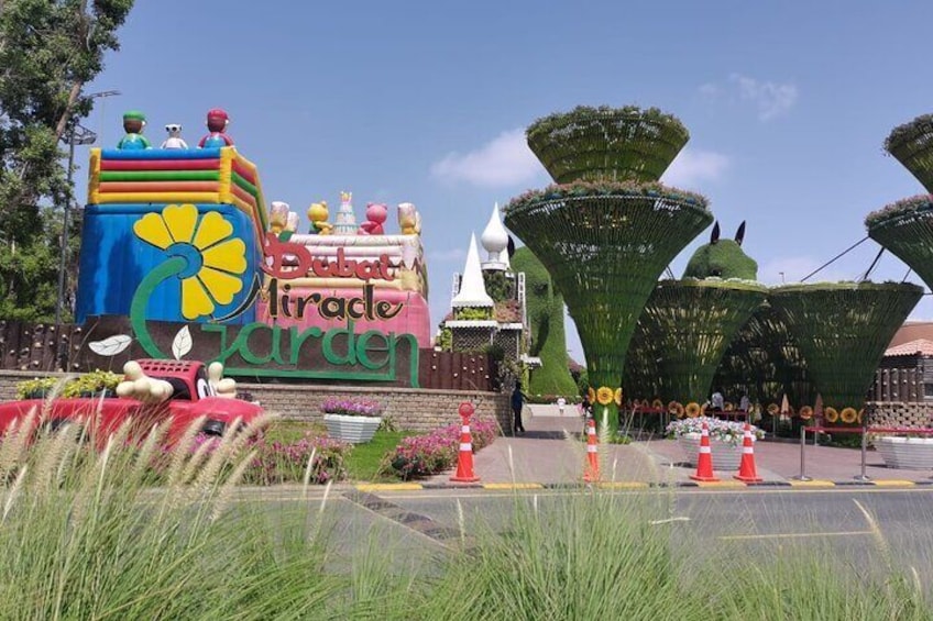 Miracle Garden and Butterfly Garden Dubai Combo Tour