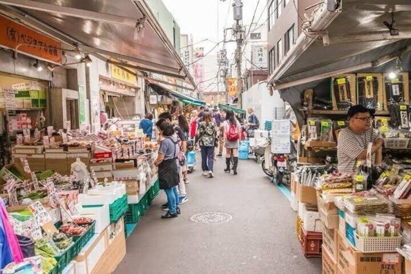 Tokyo Tour with English and Hindi Guider