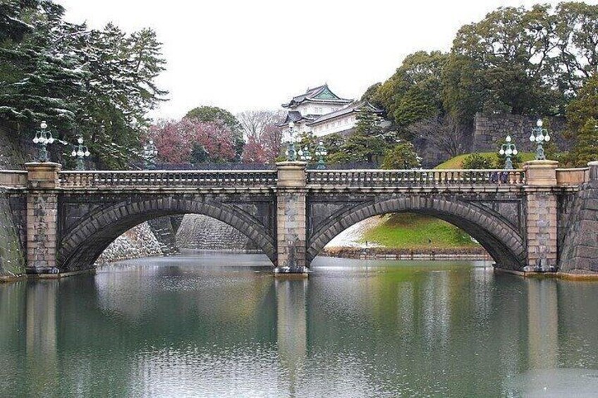 Tokyo Tour with English and Hindi Guider