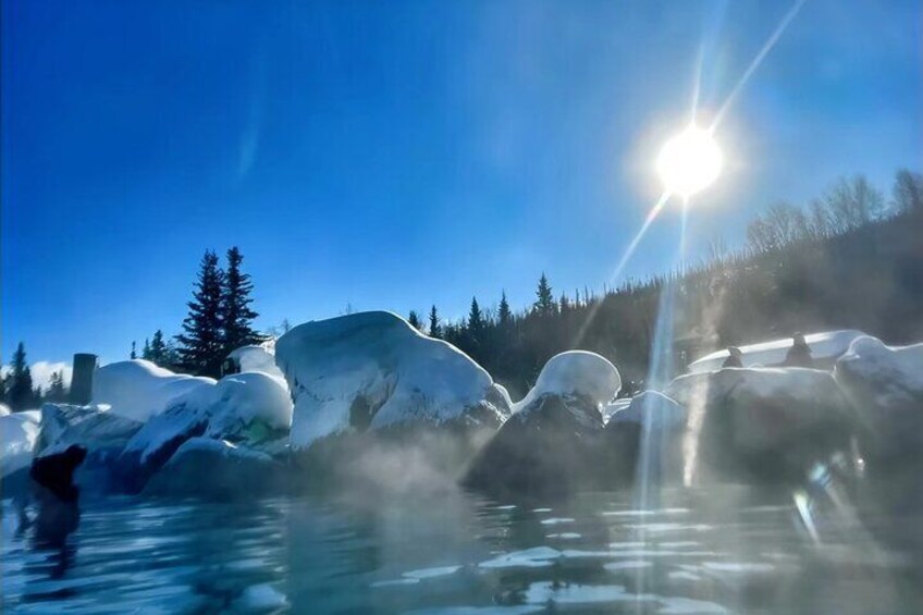 Chena Hot Spring Day Tour 