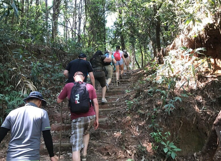 Picture 7 for Activity Chiang Mai: Doi Inthanon National Park Visit and Guided Hike