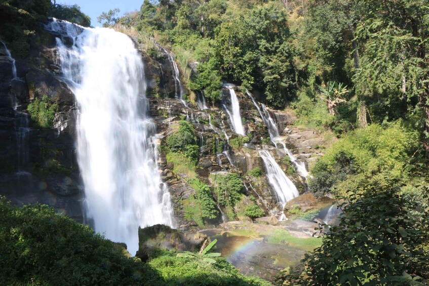 Picture 5 for Activity Chiang Mai: Doi Inthanon National Park Visit and Guided Hike