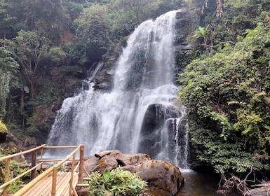 Chiang Mai: Besök i nationalparken Doi Inthanon och guidad vandring