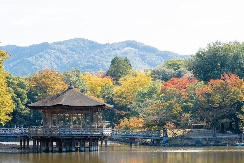 Lake Biwa, Shirahige Shrine, Ukimido One Day Tour 