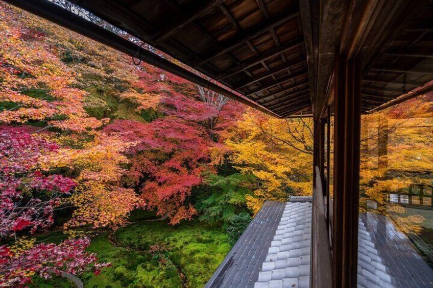 Lake Biwa, Shirahige Shrine, Ukimido One Day Tour 