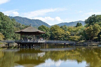 Dagtocht naar het Biwameer, Shirahige-heiligdom en Ukimido vanuit Osaka Kyo...