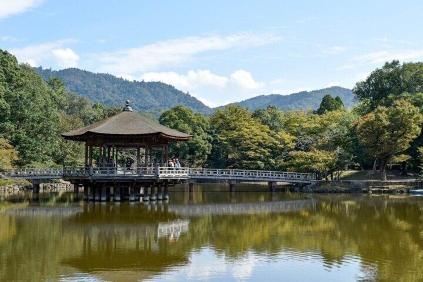 Lake Biwa, Shirahige Shrine, Ukimido One Day Tour 