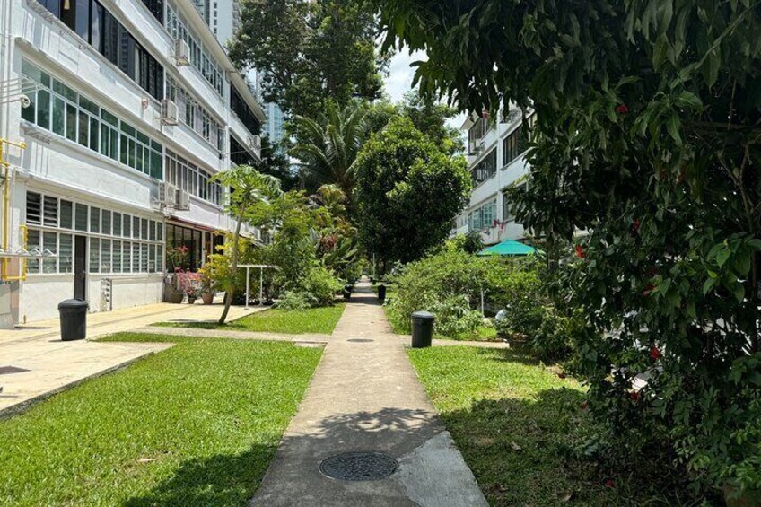 Tiong Bahru's Tastiest Treats Private Food Tour in Singapore