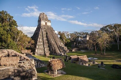 Tikal Nature and Archaeology Tour from Guatemala or Antigua