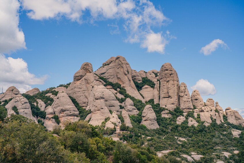 Montserrat Monastery Guided Half-Day Tour from Barcelona